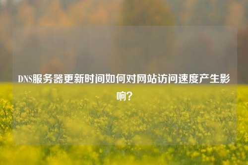 DNS服務器更新時間如何對網站訪問速度產生影響？