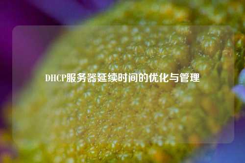 DHCP服務器延續時間的優化與管理