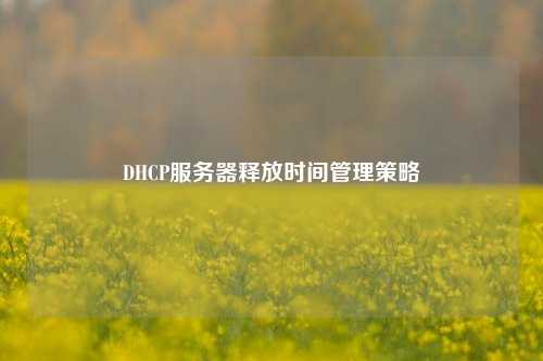 DHCP服務器釋放時間管理策略