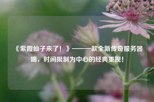 《紫霞仙子來了！》——一款全新傳奇服務器端，時間限制為中心的經典重現！