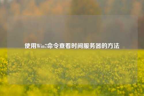 使用Win7命令查看時間服務器的方法