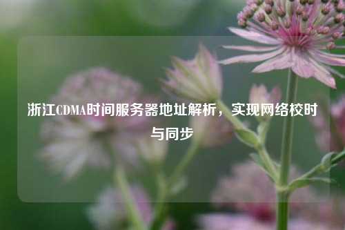 浙江CDMA時間服務器地址解析，實現網絡校時與同步