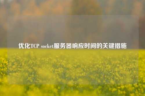 優化TCP socket服務器響應時間的關鍵措施