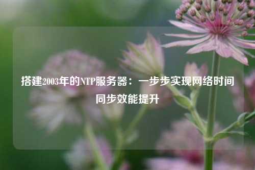 搭建2003年的NTP服務器：一步步實現網絡時間同步效能提升