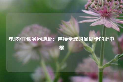 電波NTP服務器地址：連接全球時間同步的正中樞