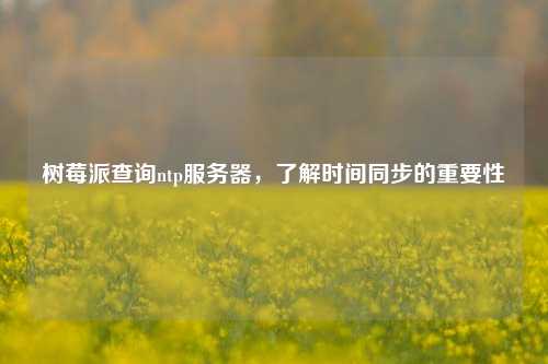 樹莓派查詢ntp服務器，了解時間同步的重要性