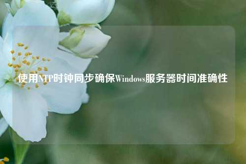 使用NTP時鐘同步確保Windows服務器時間準確性