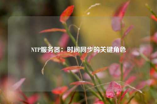 NTP服務器：時間同步的關鍵角色