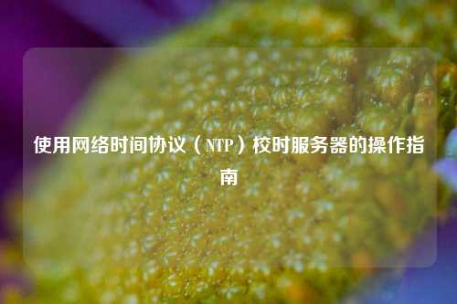 使用網絡時間協議（NTP）校時服務器的操作指南