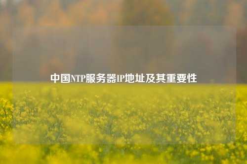 中國NTP服務器IP地址及其重要性