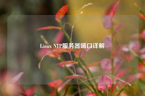 Linux NTP服務器端口詳解