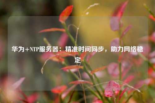 華為+NTP服務器：精準時間同步，助力網絡穩定