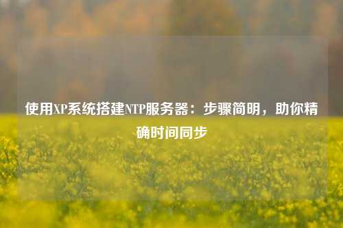 使用XP系統搭建NTP服務器：步驟簡明，助你精確時間同步