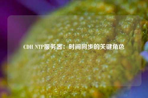 CDH NTP服務器：時間同步的關鍵角色